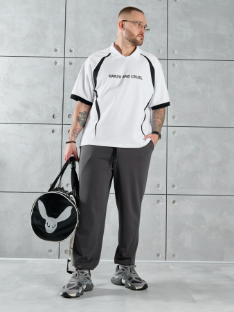 Мужские брюки Акс-2 / графитовый