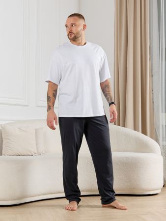 Брюки мужские Тор-3 / графитовый