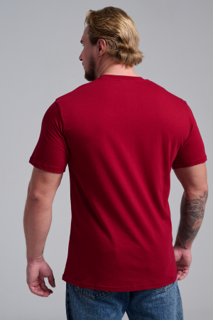 Мужская футболка 8581 / бордо+диско дедМ