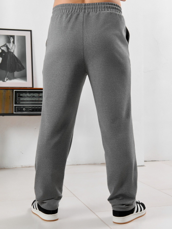 Мужские брюки Акс / серый