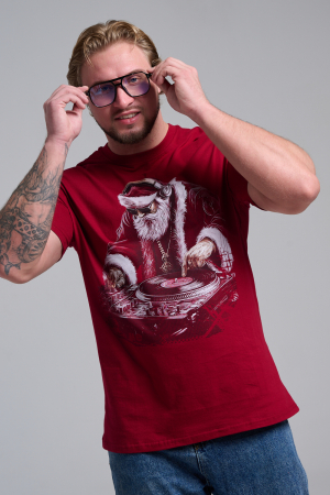 Мужская футболка 8581 / бордо+диско дедМ