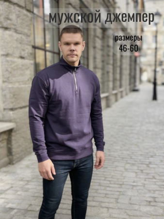 Мужской джемпер 52723 / фиолетовый
