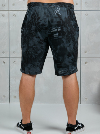 Шорты мужские Питон ШП-031 / разноцветный