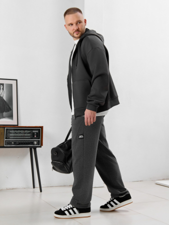 Мужские брюки Акс / графитовый