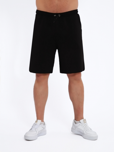 Мужские шорты мод.1493/2 / Черный