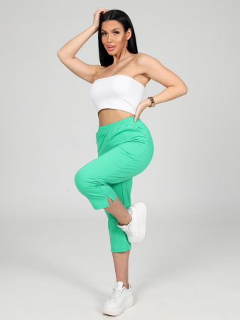 Женские бриджи Финикс / зеленый