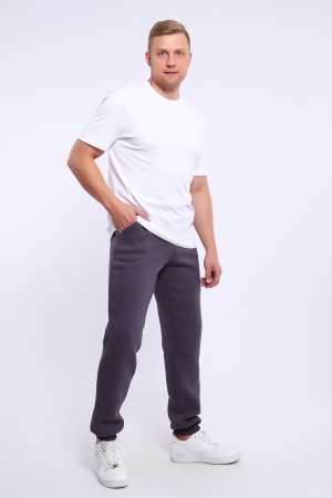 Мужские брюки джоггеры 169 / Серый