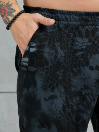 Шорты мужские Питон ШП-031 / разноцветный