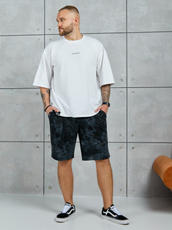 Шорты мужские Питон ШП-031 / разноцветный