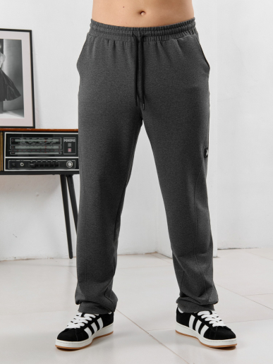 Мужские брюки Акс / графитовый