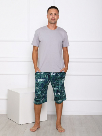 Мужские шорты Ш-3 / БЗ