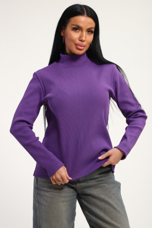 Женская водолазка 74721 / темно-лиловый