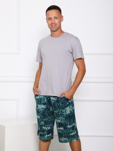 Мужские шорты Ш-3 / БЗ