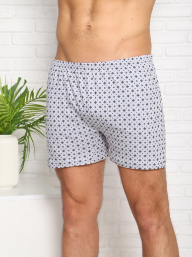 Мужские боксеры Промо уно / серый