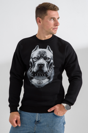 Мужской свитшот 8559 / черный+питбуль