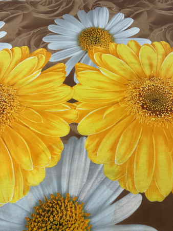 Постельное белье поплин Иваново / Флоранс