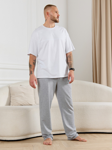 Брюки мужские Тор-4.2 / серый меланж