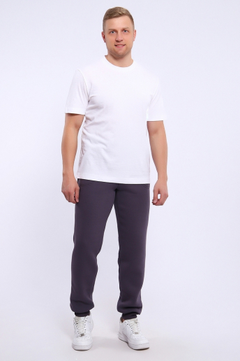 Мужские брюки джоггеры 169 / Серый