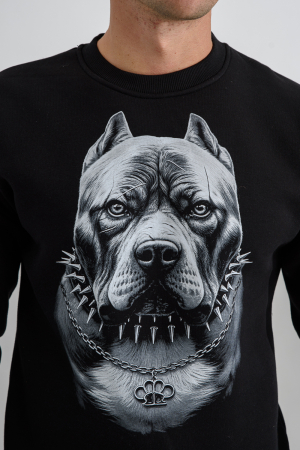 Мужской свитшот 8559 / черный+питбуль
