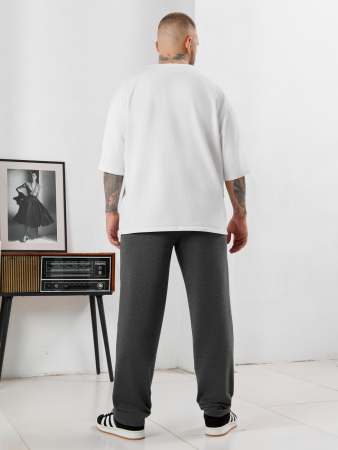 Мужские брюки Акс / графитовый