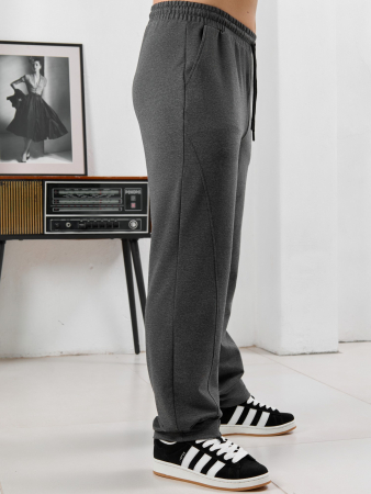 Мужские брюки Акс / графитовый