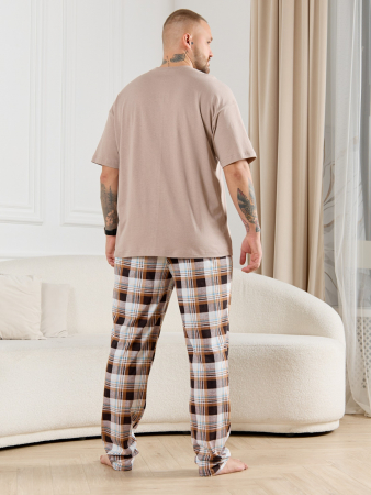 Брюки мужские Тор-1 / клетка коричневая