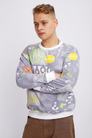 Мужской свитшот 88141 / серый