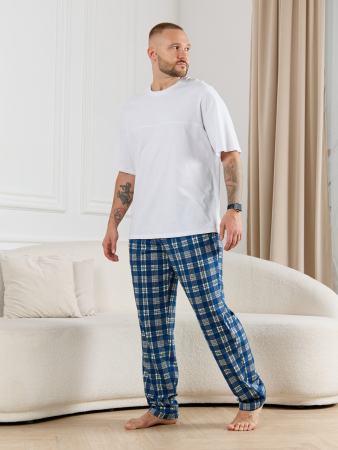 Брюки мужские Тор-1 / клетка синяя