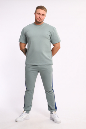 Мужской костюм 35282 / полынь