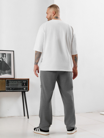 Мужские брюки Акс / серый