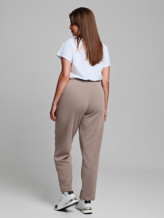 Женские брюки Авенсис-3 / бежевый