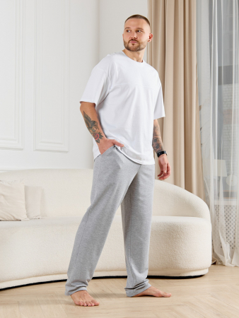 Брюки мужские Тор-4.2 / серый меланж