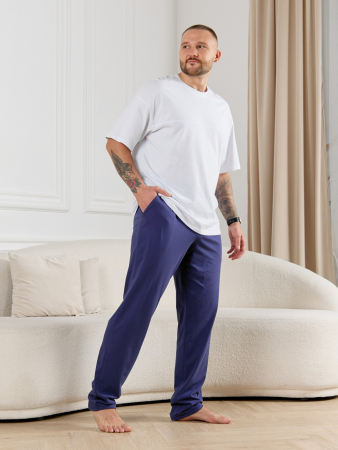 Брюки мужские Тор-3 / синий