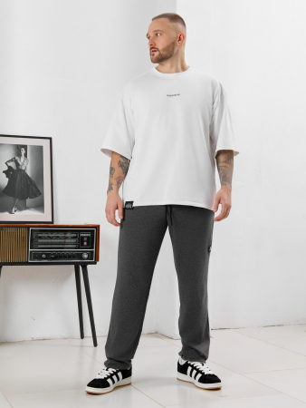 Мужские брюки Акс / графитовый