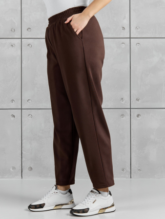 Женские брюки Авенсис-3 / коричневый