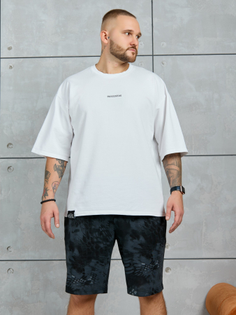 Шорты мужские Питон ШП-031 / разноцветный