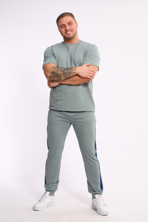 Мужской костюм 35282 / полынь