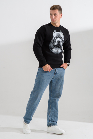 Мужской свитшот 8559 / черный+питбуль