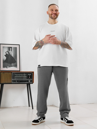 Мужские брюки Акс / серый