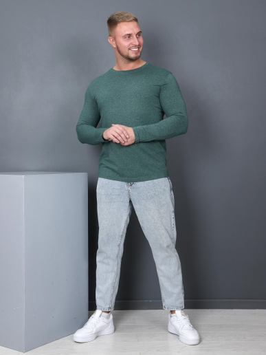 Мужской лонгслив Рейнир / зеленый