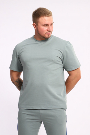 Мужской костюм 35282 / полынь