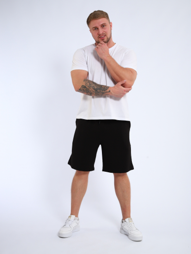 Мужские шорты мод.1493/2 / Черный