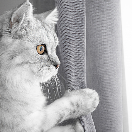 Комплект штор "Волшебная Ночь" Рогожка / Базальт