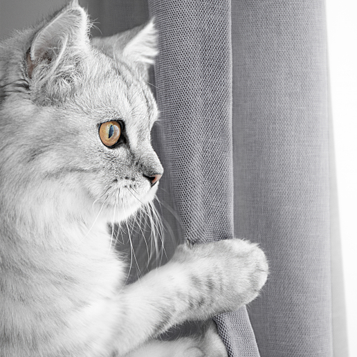 Комплект штор "Волшебная Ночь" Рогожка / Базальт