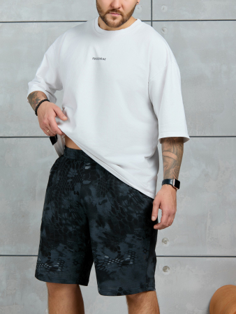 Шорты мужские Питон ШП-031 / разноцветный