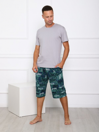 Мужские шорты Ш-3 / БЗ