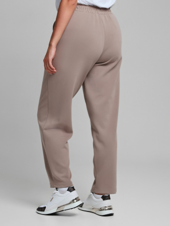 Женские брюки Авенсис-3 / бежевый