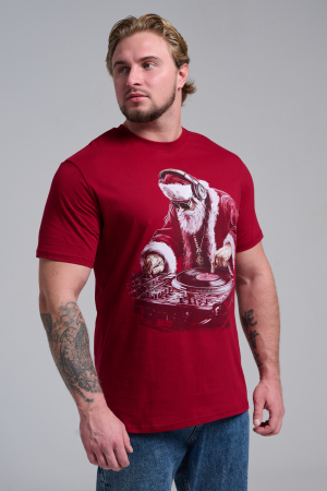 Мужская футболка 8581 / бордо+диско дедМ