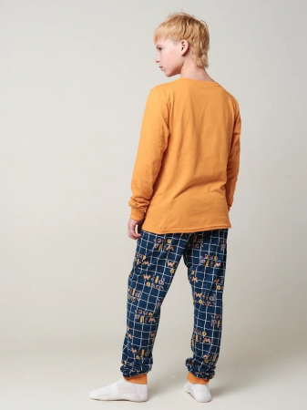 Детская пижама "Дрема" длинный рукав / Оранжевый