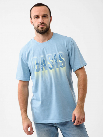 Мужская футболка "Оазис" 2282-К / В ассортименте